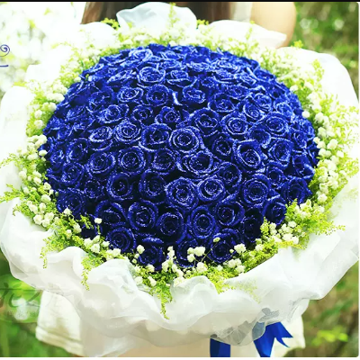 99蓝玫瑰蓝色妖姬鲜花